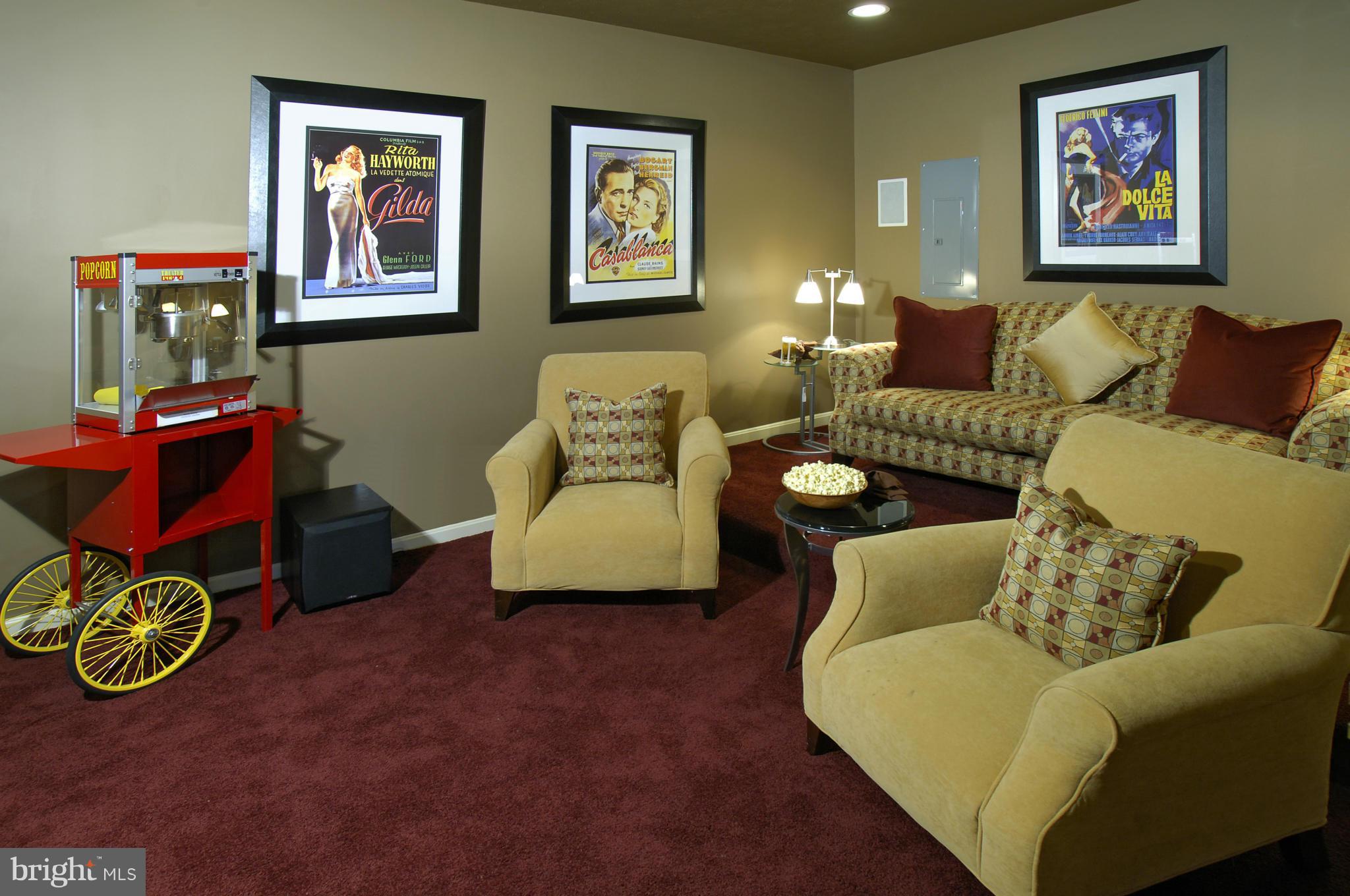6601 Cork Tree Way Clinton, MD 20735 - Photo 19 of 19 Basement-Theater Room