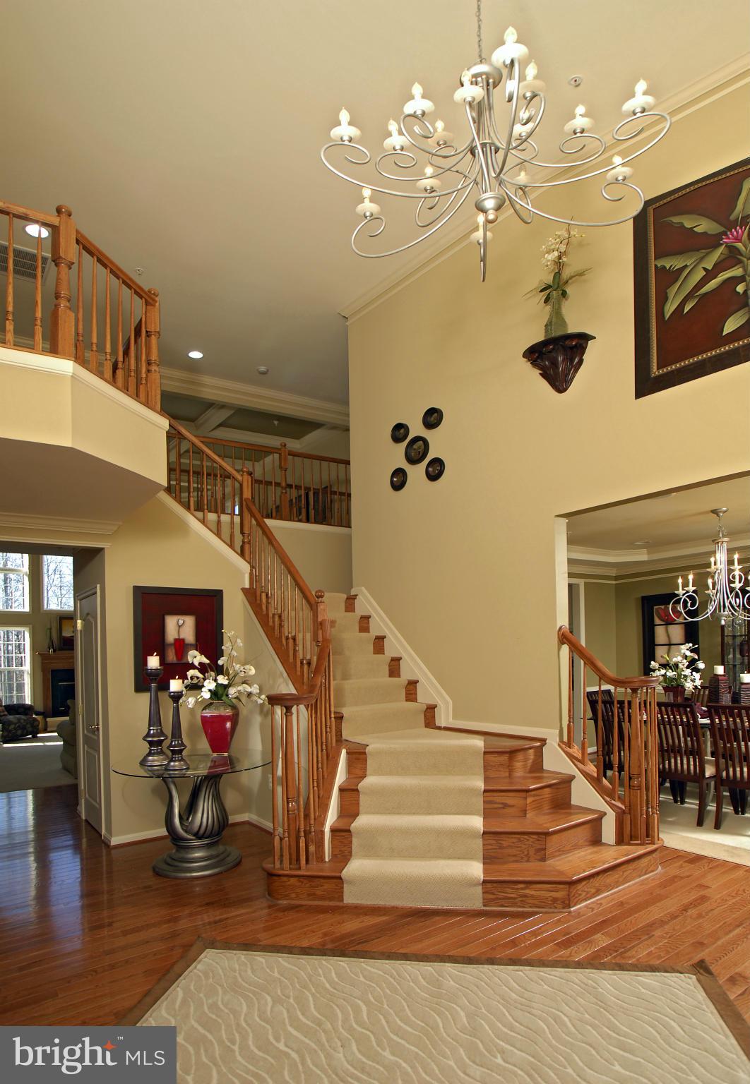 6601 Cork Tree Way Clinton, MD 20735 - Photo 6 of 19 Foyer