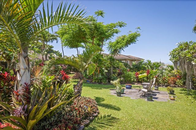 a view of a garden with a tree