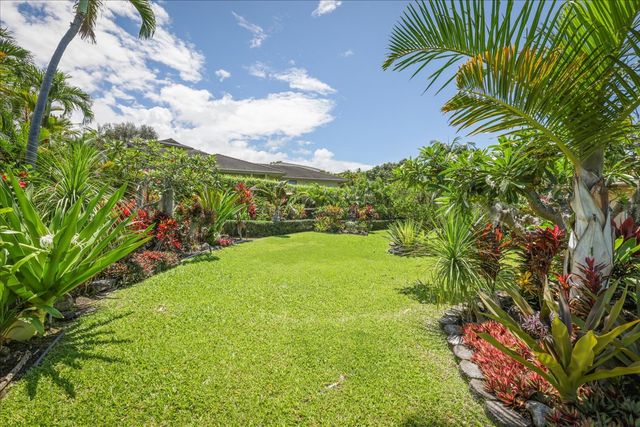a view of a big yard with plants and large trees