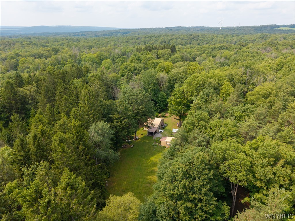 28 Treehaven Road Wethersfield, NY 14066 - Photo 11 of 48 Drone