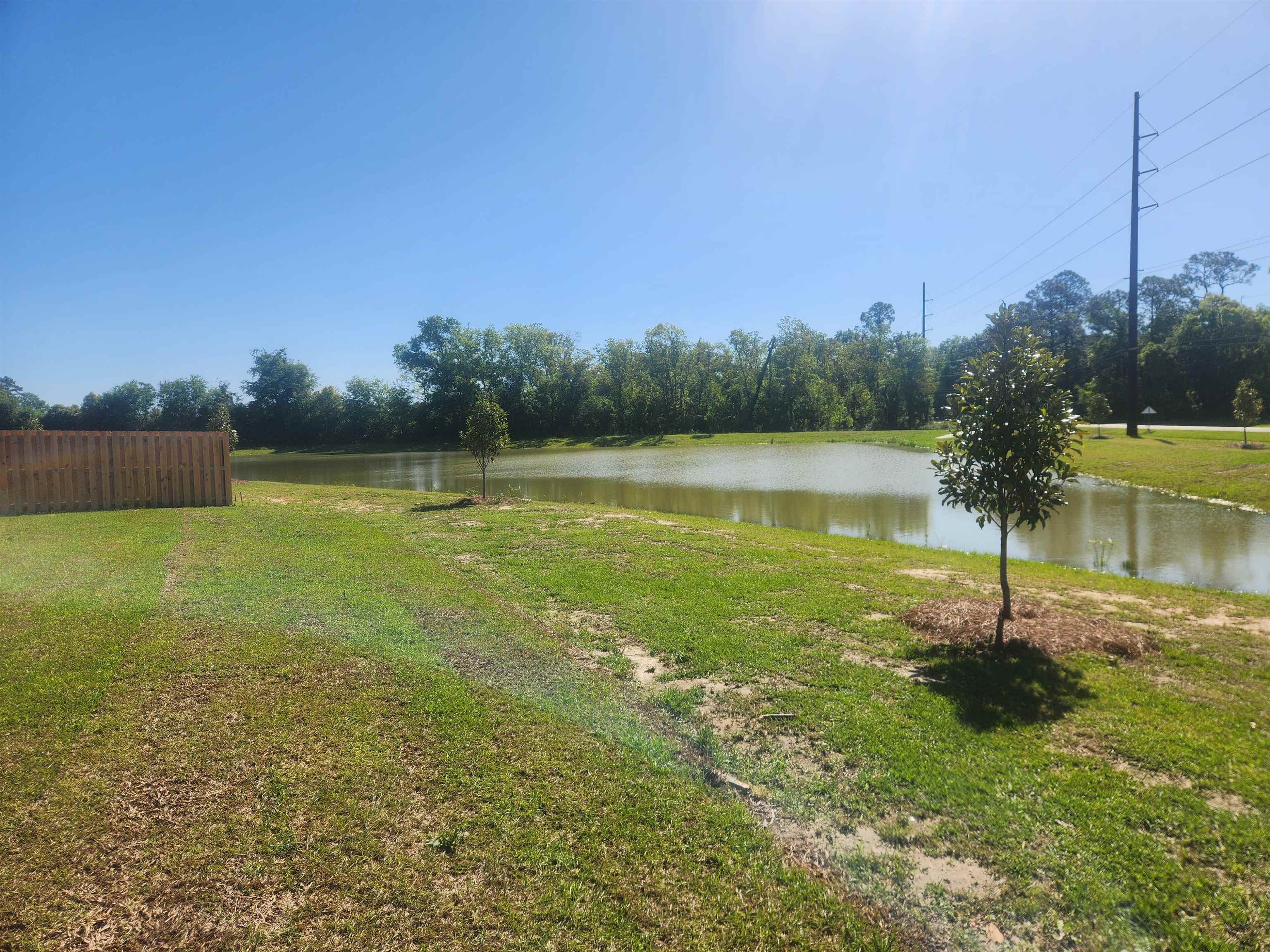 24166 Rieger Drive Elberta, AL 36530 - Photo 6 of 7