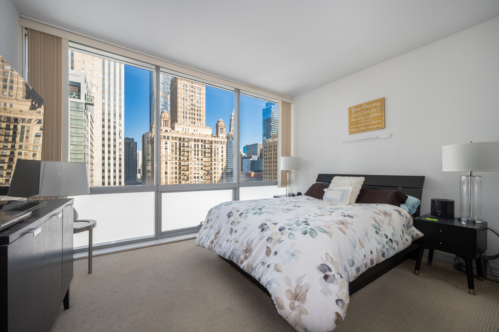 8 East Randolph Street, Unit 1401 Chicago, IL 60601 - Photo 13 of 29