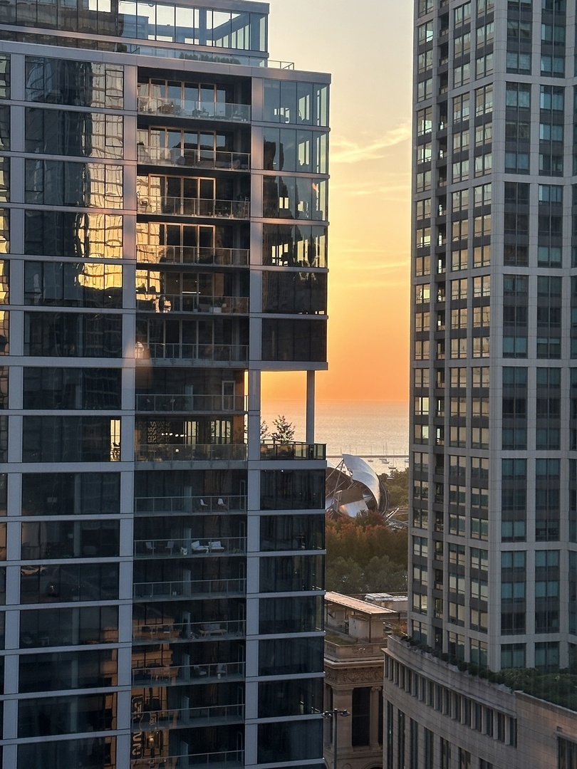 8 East Randolph Street, Unit 1401 Chicago, IL 60601 - Photo 23 of 29