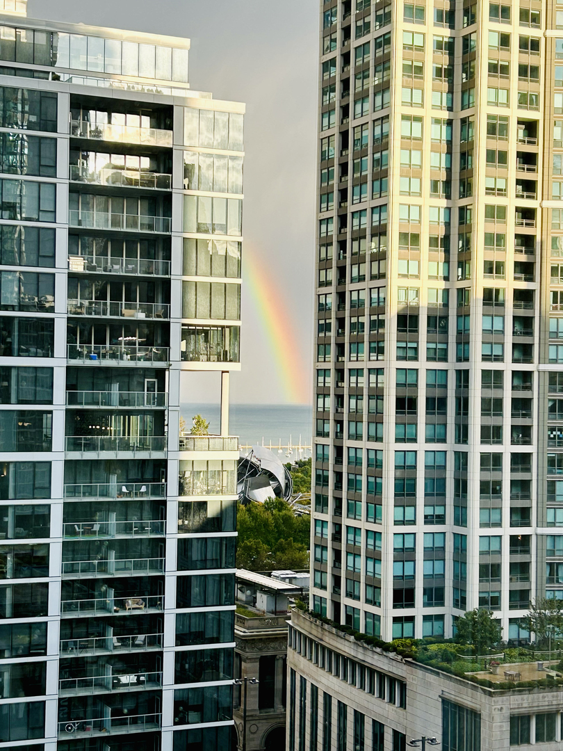 8 East Randolph Street, Unit 1401 Chicago, IL 60601 - Photo 25 of 29