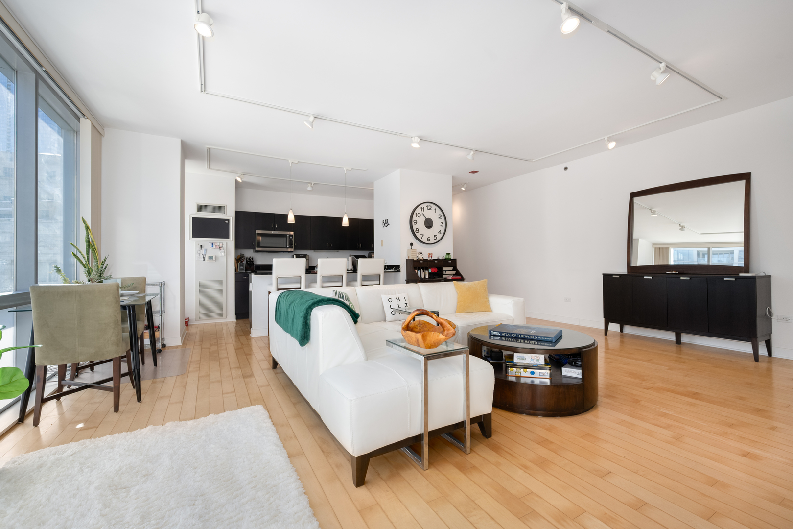 8 East Randolph Street, Unit 1401 Chicago, IL 60601 - Photo 8 of 29