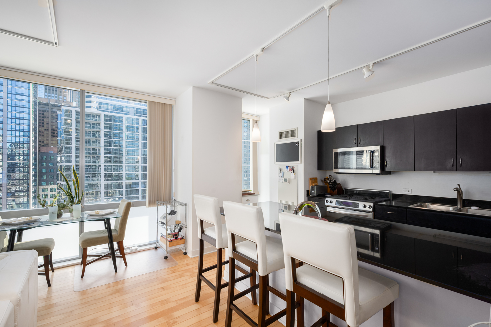 8 East Randolph Street, Unit 1401 Chicago, IL 60601 - Photo 10 of 29