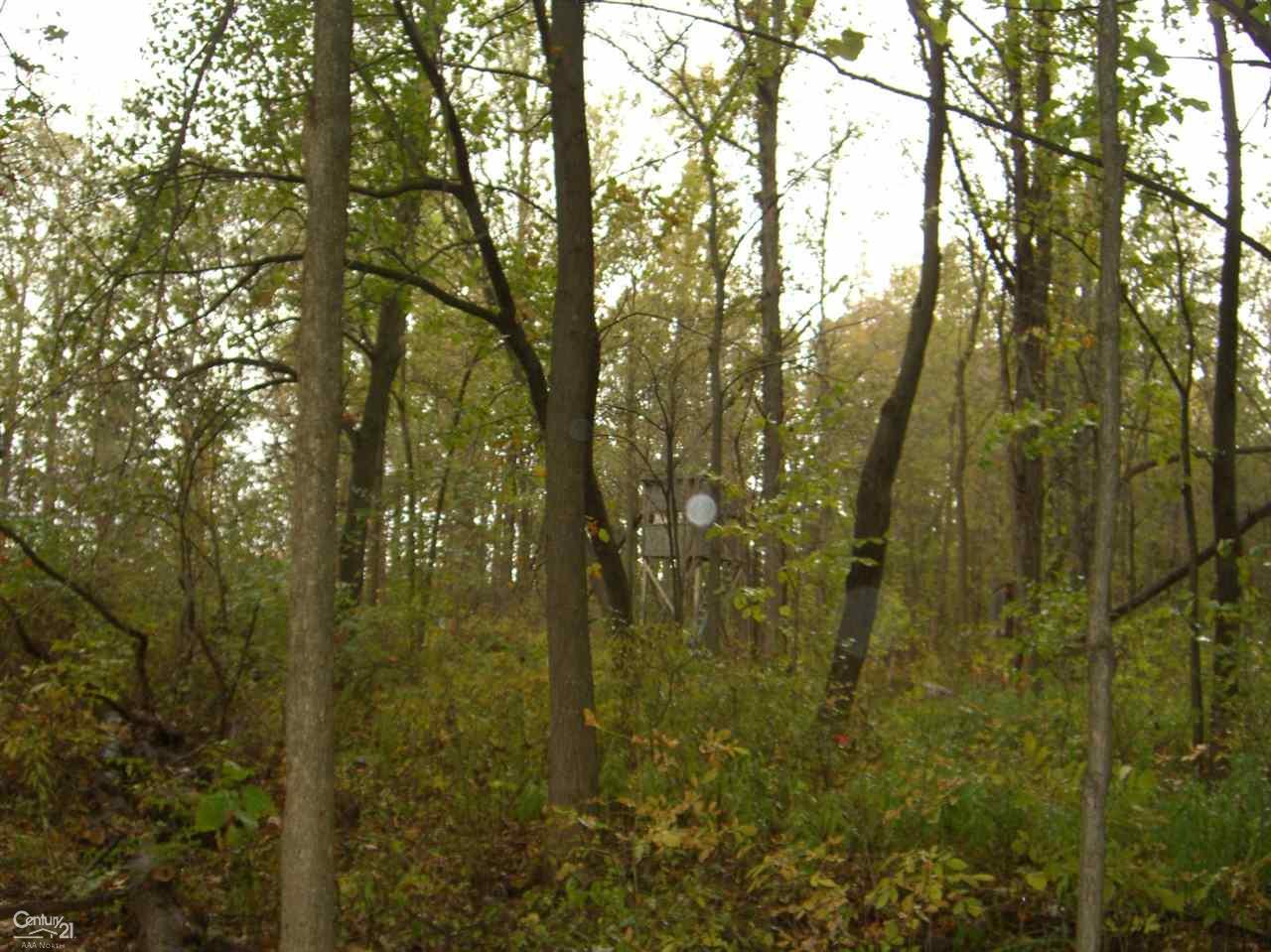 77435 Capac Road Armada, MI 48005 - Photo 18 of 45