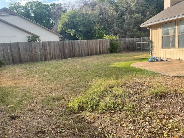 a view of a backyard