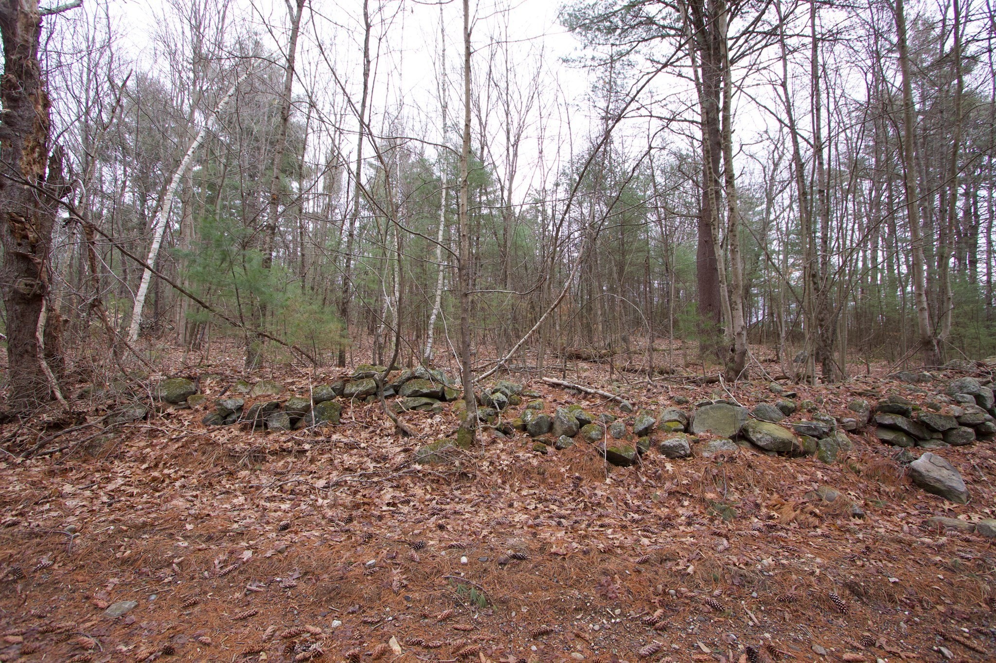 0 Short Road Hardwick, MA 01082 - Photo 5 of 5 Gallery Image 5