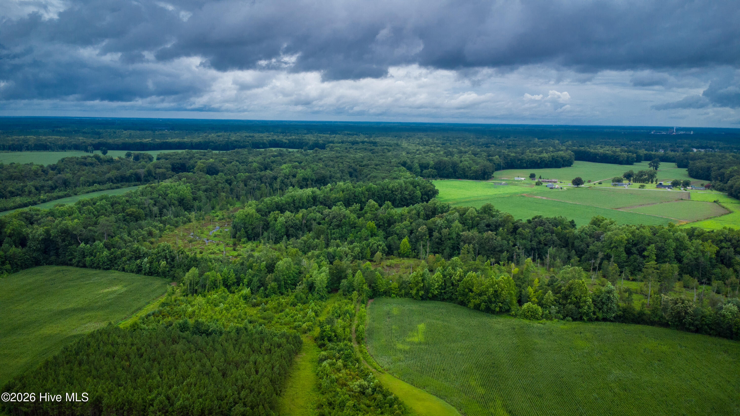 1601 Hill Neck Road Ernul, NC 28527 - Photo 18 of 33 Over 230 Acres of Opportunity