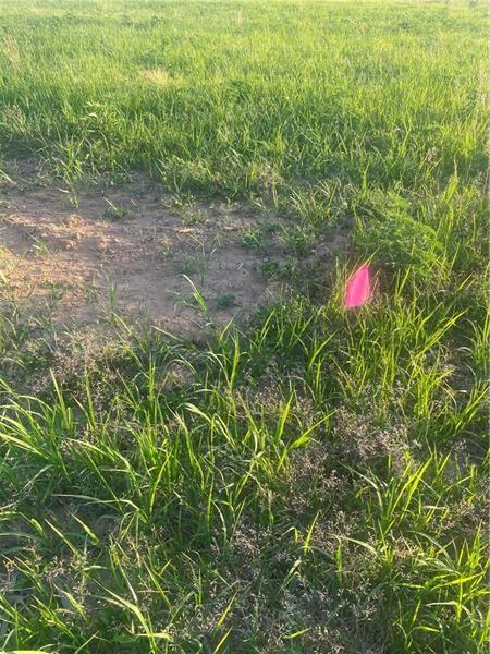 0 Mt Pleasant Road Greensburg, PA 15601 - Photo 10 of 16 a view of a forest