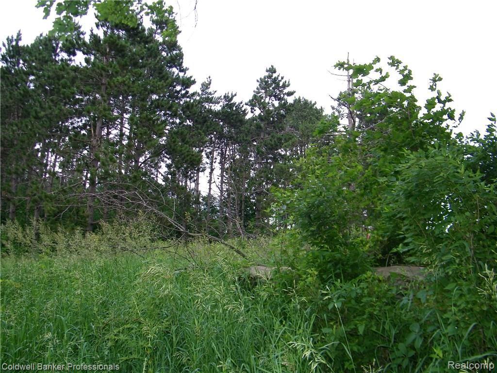 4770 Slattery Road North Branch, MI 48461 - Photo 9 of 17