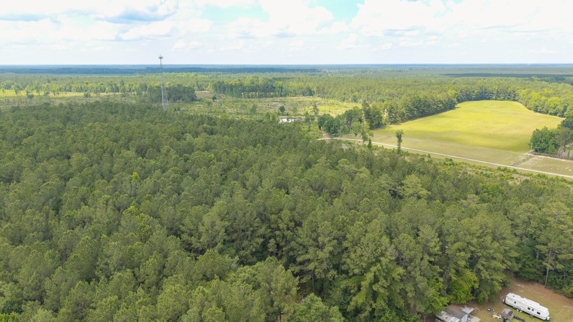 6222 Saints Delight Road, Unit LOT 8A Georgetown, SC 29440 - Photo 21 of 27