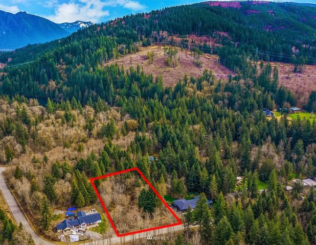 an outdoor space with lots of flower plants