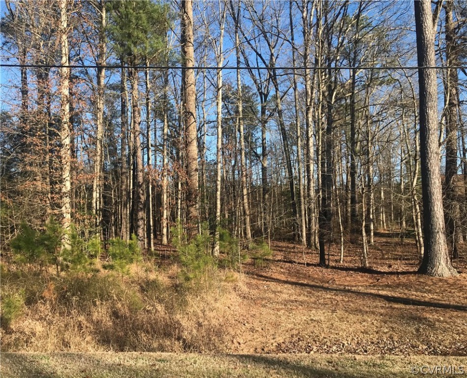 Tbd Union Branch Road Petersburg, VA 23805 - Photo 2 of 10 Gallery Image 2