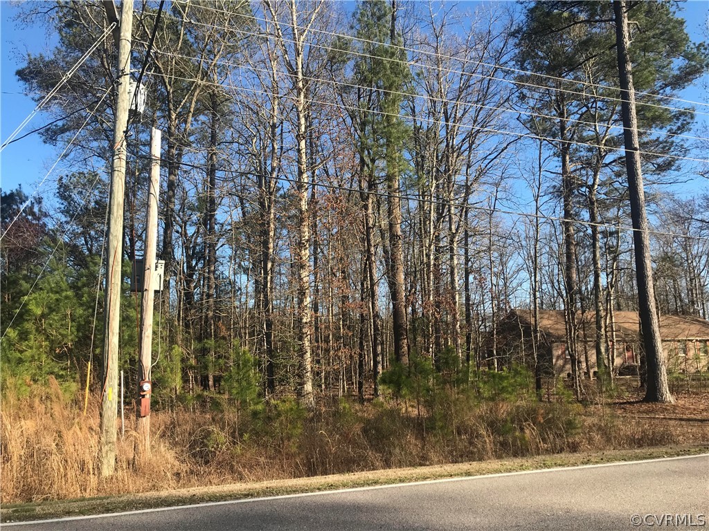Tbd Union Branch Road Petersburg, VA 23805 - Photo 3 of 10 Gallery Image 3