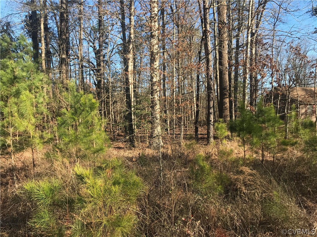 Tbd Union Branch Road Petersburg, VA 23805 - Photo 4 of 10 Gallery Image 4