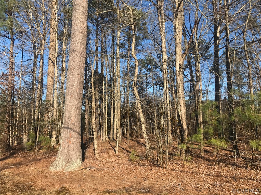 Tbd Union Branch Road Petersburg, VA 23805 - Photo 5 of 10 Gallery Image 5