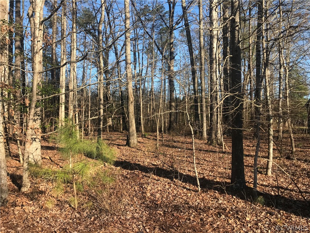 Tbd Union Branch Road Petersburg, VA 23805 - Photo 6 of 10 Gallery Image 6