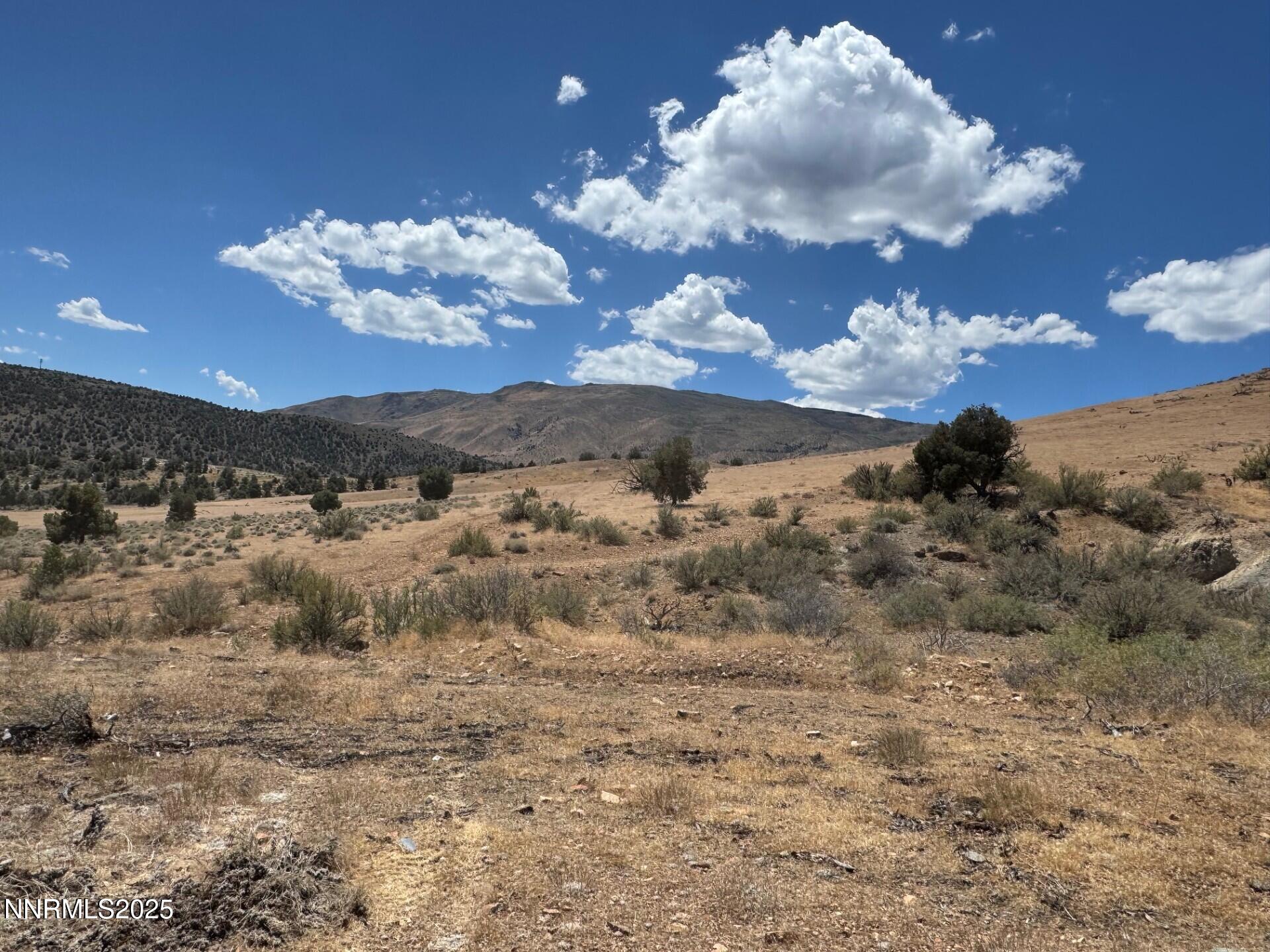 1400 Breccia Road Wellington, NV 89444 - Photo 3 of 14 a view of a sky