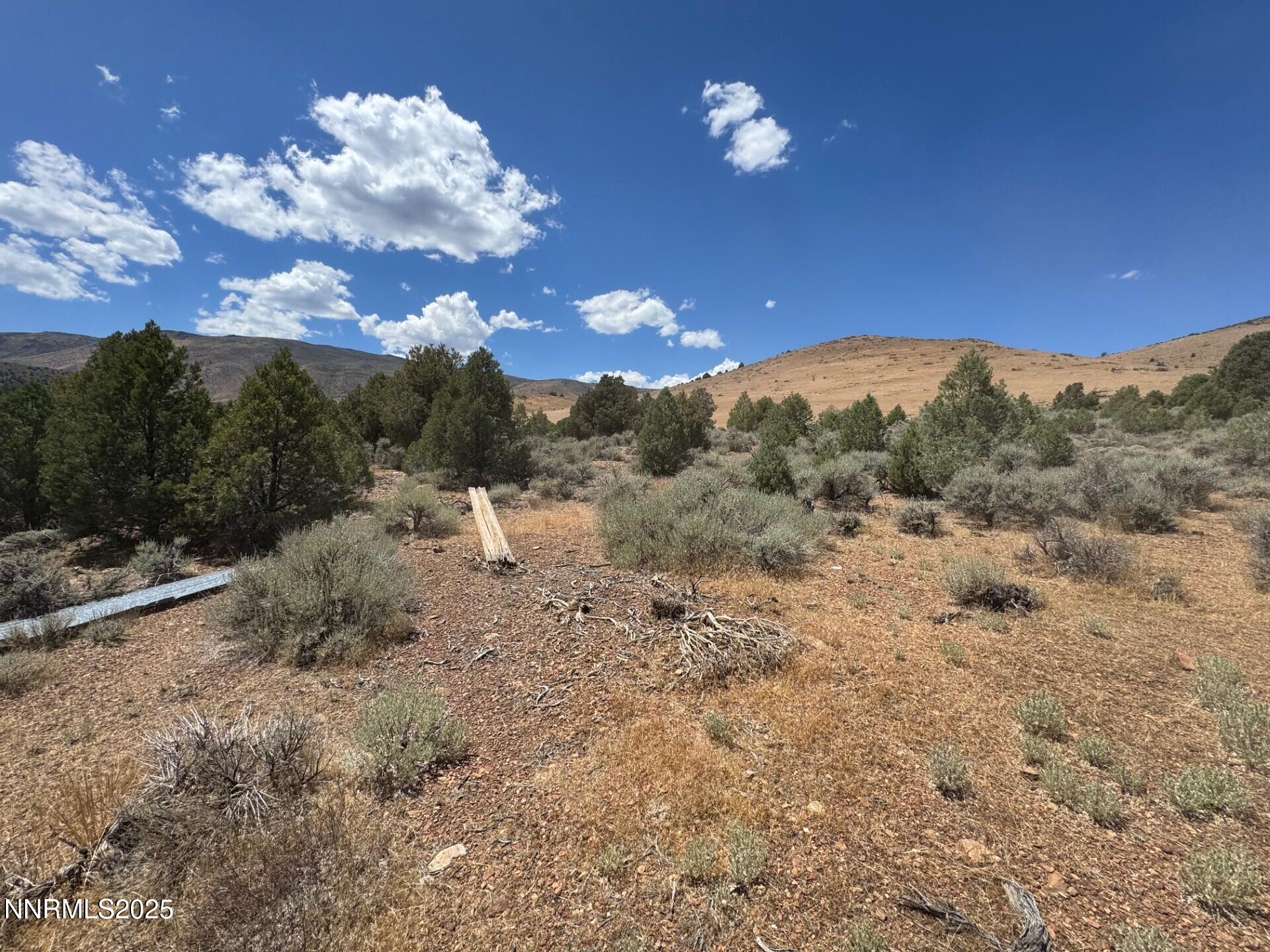 1400 Breccia Road Wellington, NV 89444 - Photo 6 of 14 a view of a yard with mountain view