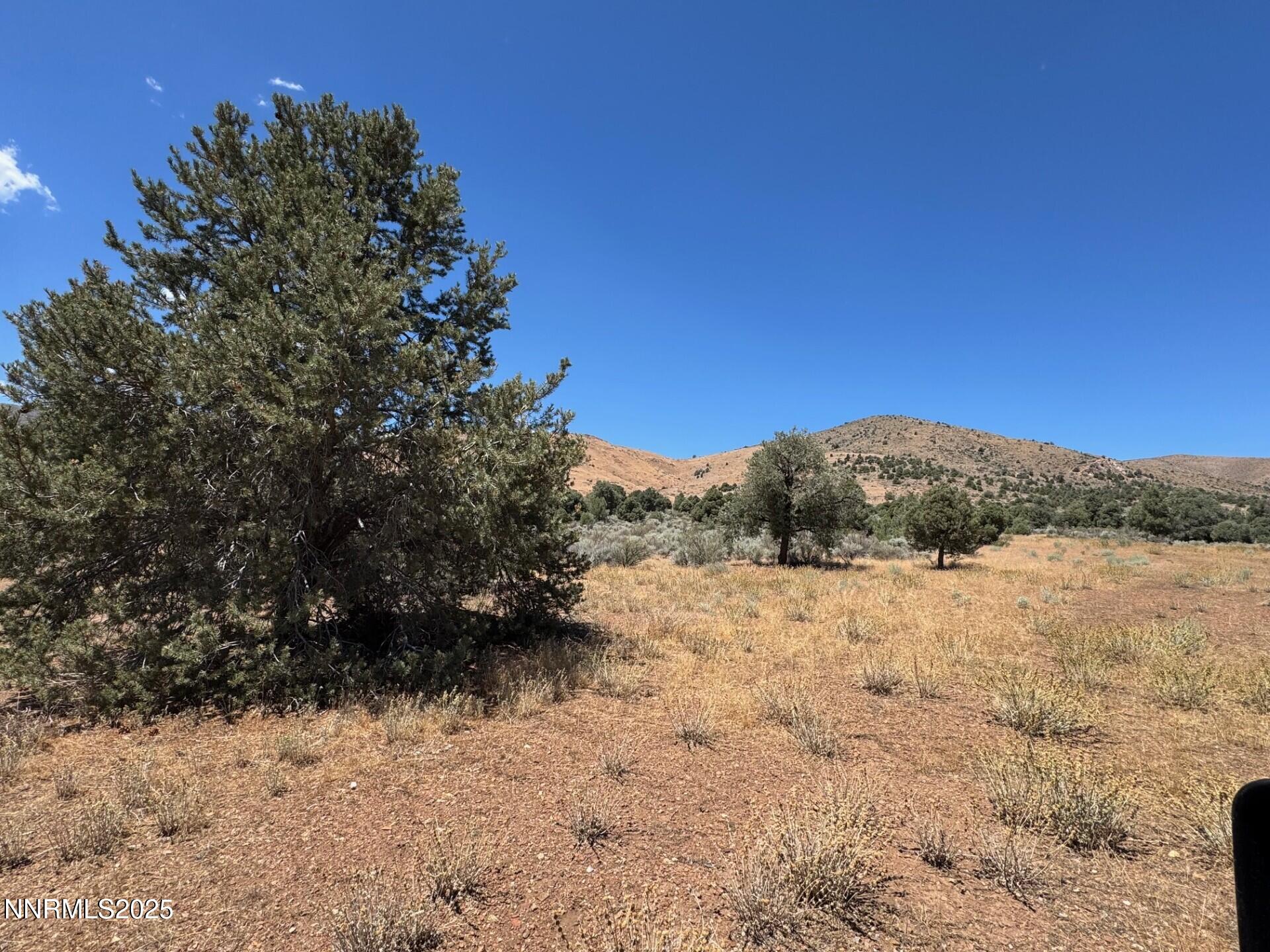 1400 Breccia Road Wellington, NV 89444 - Photo 7 of 14 a view of mountain view with mountains in the background