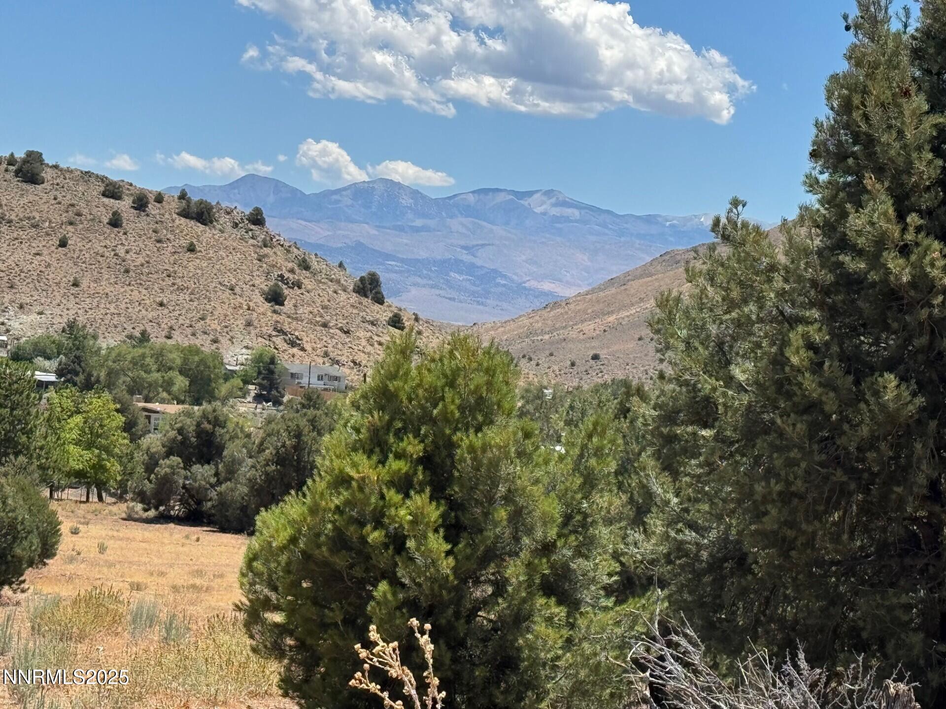1400 Breccia Road Wellington, NV 89444 - Photo 9 of 14 a view of a dry yard with mountains in the background
