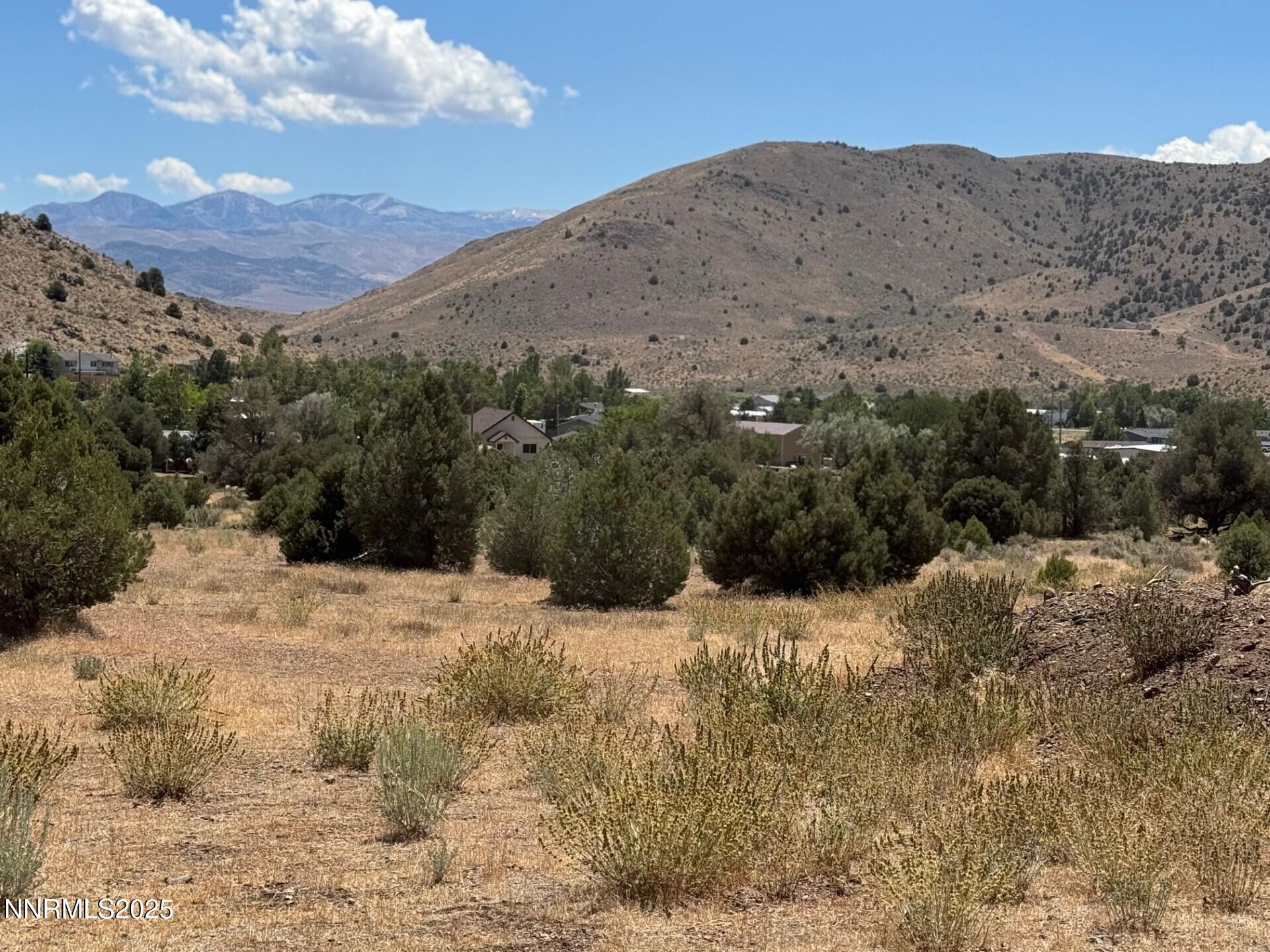 1400 Breccia Road Wellington, NV 89444 - Photo 10 of 14 a view of a dry yard