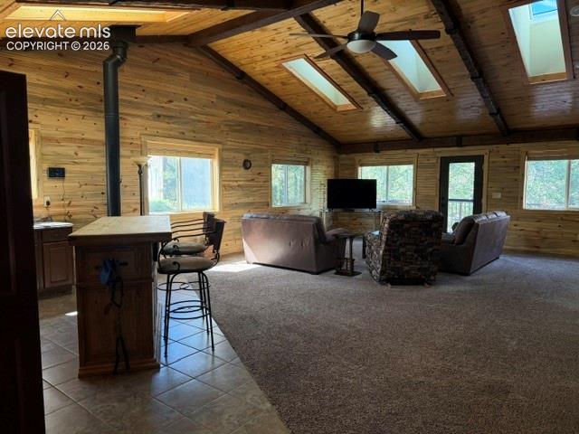 269 Southpark Road Florissant, CO 80816 - Photo 3 of 37