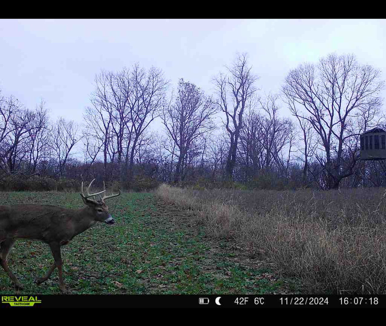 13208 1290th Road Granville, IL 61326 - Photo 17 of 18 Gallery Image 17
