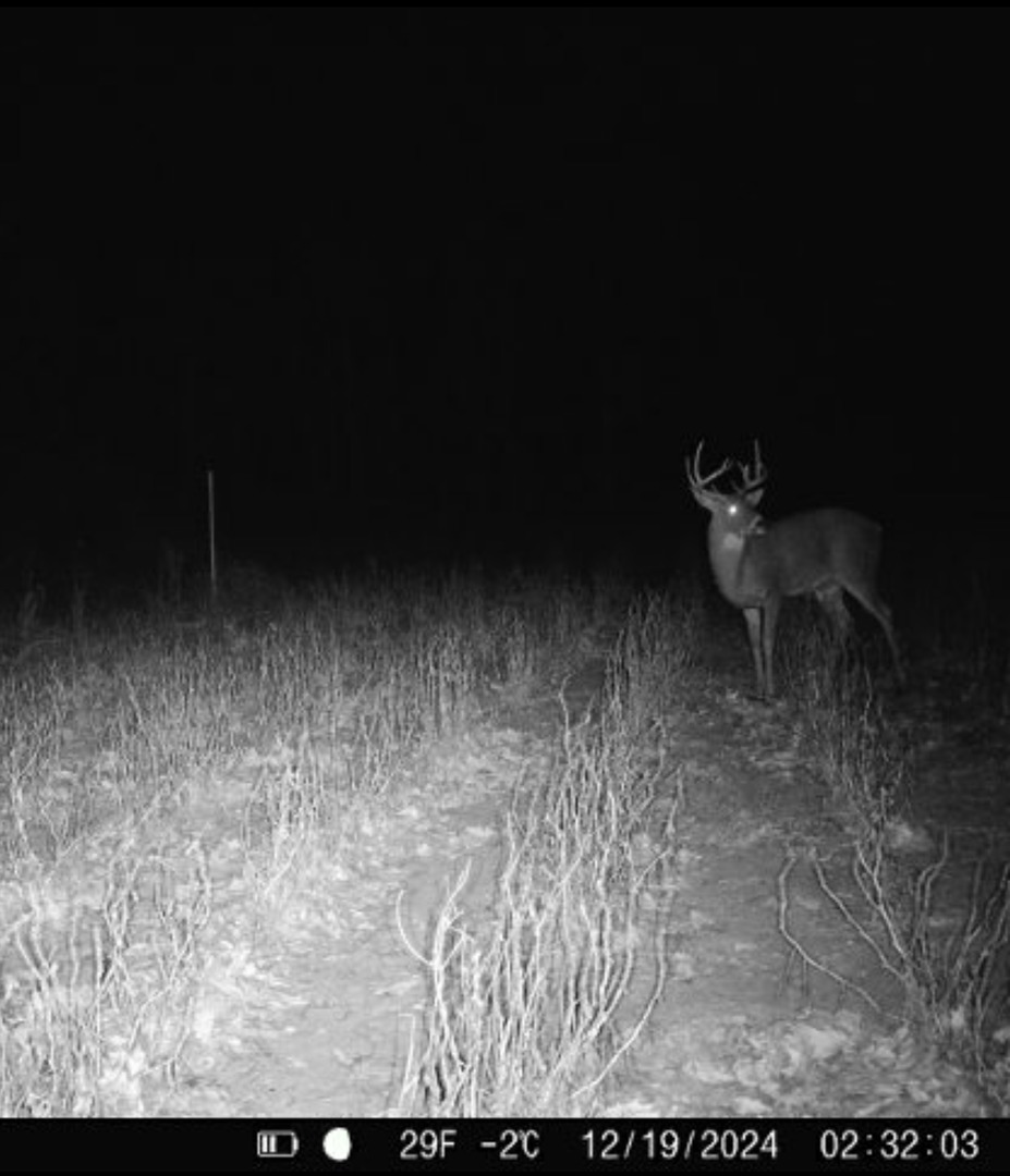 13208 1290th Road Granville, IL 61326 - Photo 18 of 18 Gallery Image 18