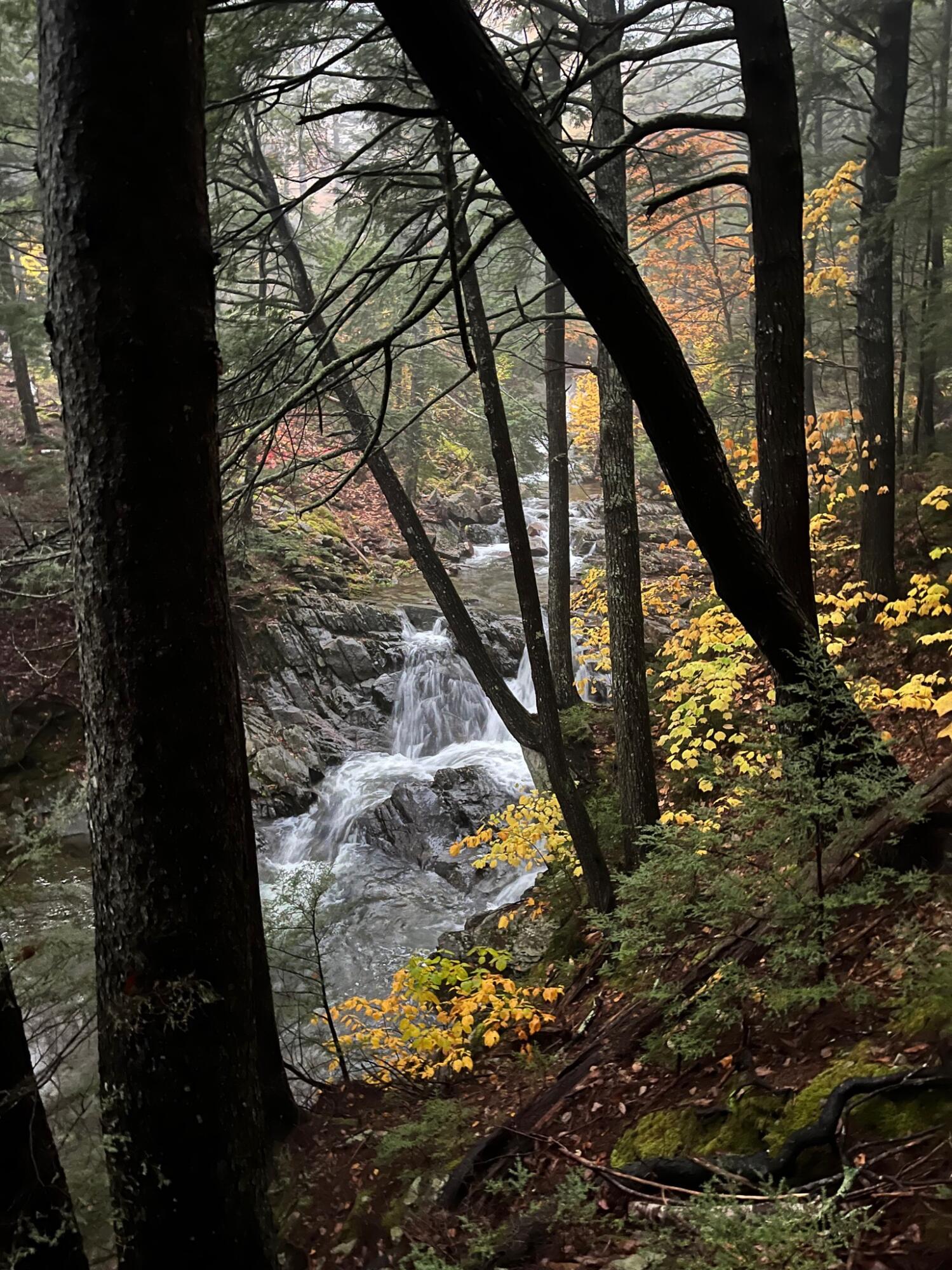 440 Belfast Road, Unit D2 Camden, ME 04843 - Photo 11 of 20 Fall Waterfall