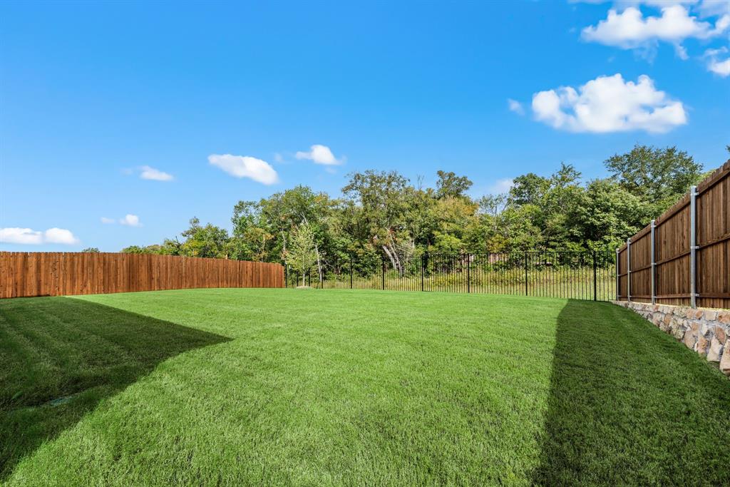 3200 Willow Terrace Lane Anna, TX 75409 - Photo 34 of 40 a view of a big yard with a fountain