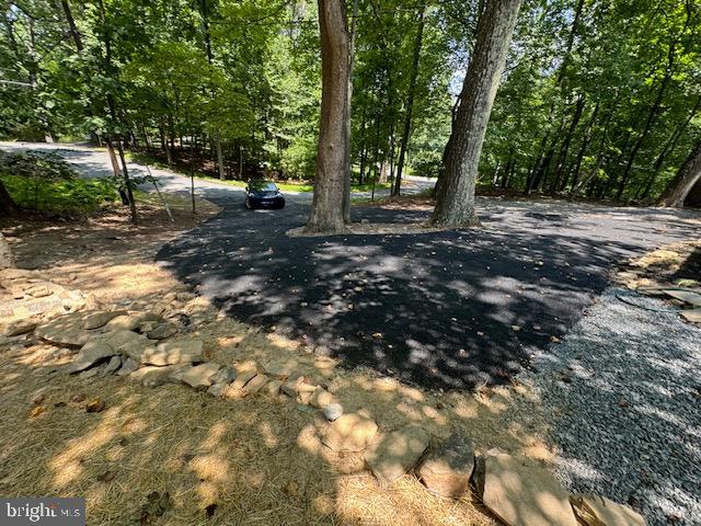 1901 Ridge Road Haymarket, VA 20169 - Photo 14 of 52 a view of a tree in the middle of a yard