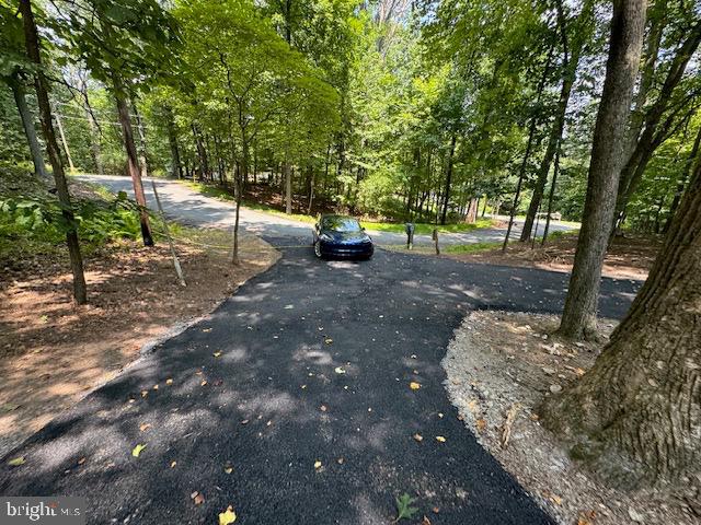 1901 Ridge Road Haymarket, VA 20169 - Photo 15 of 52 a view of a park with large trees