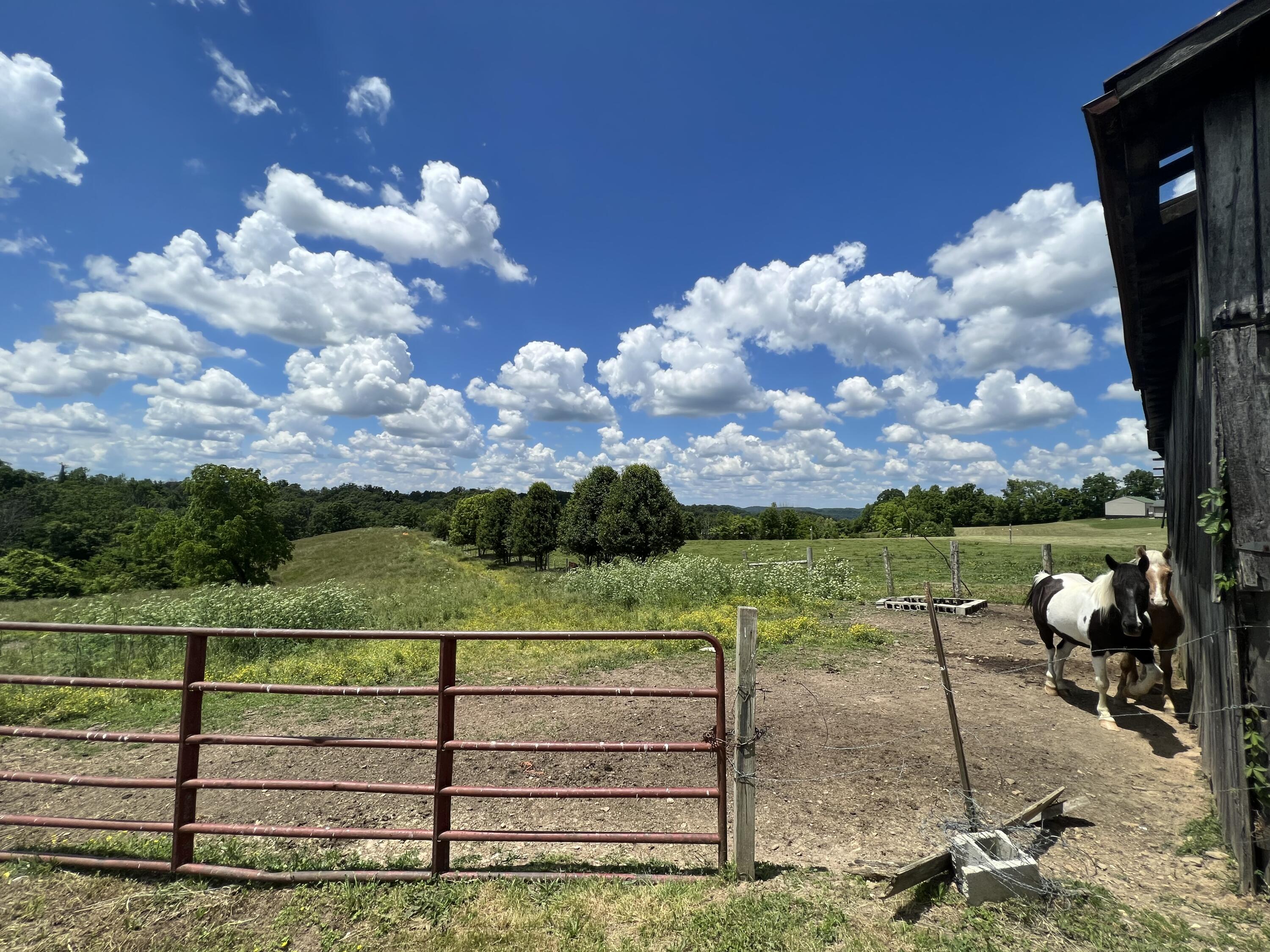 9999 Chestnut Grove Road Brodhead, KY 40409 - Photo 63 of 67 A912A9FB-7124-41E2-ACCA-2BA36299A244