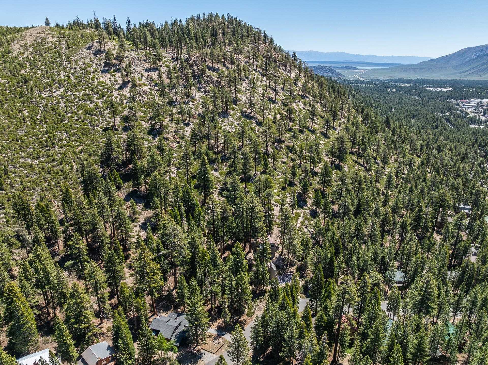 198 Grindelwald Road Mammoth Lakes, CA 93546 - Photo 4 of 17