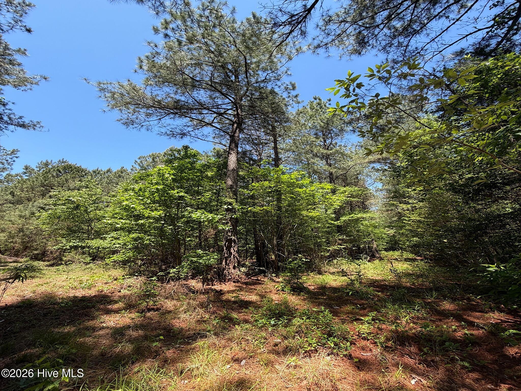 0 Tartt's Mill Road Wilson, NC 27893 - Photo 11 of 23 9