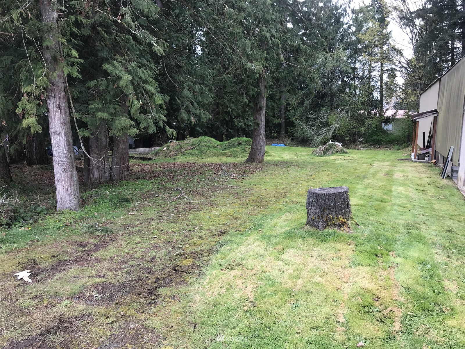 479 Hall Road Silverlake, WA 98645 - Photo 3 of 15 Gallery Image 3