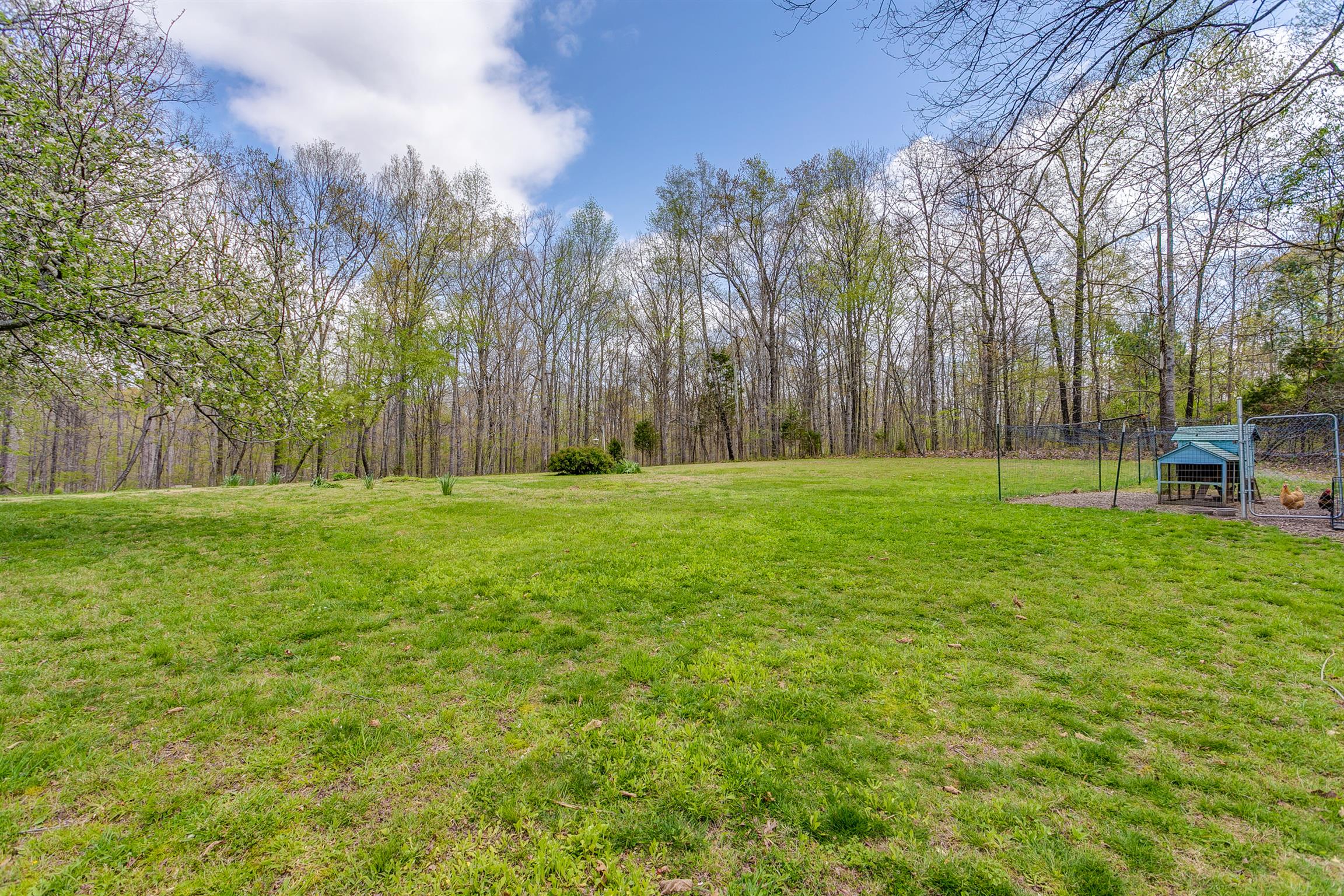 1079 White Bluff Road White Bluff, TN 37187 - Photo 30 of 30 Gallery Image 30