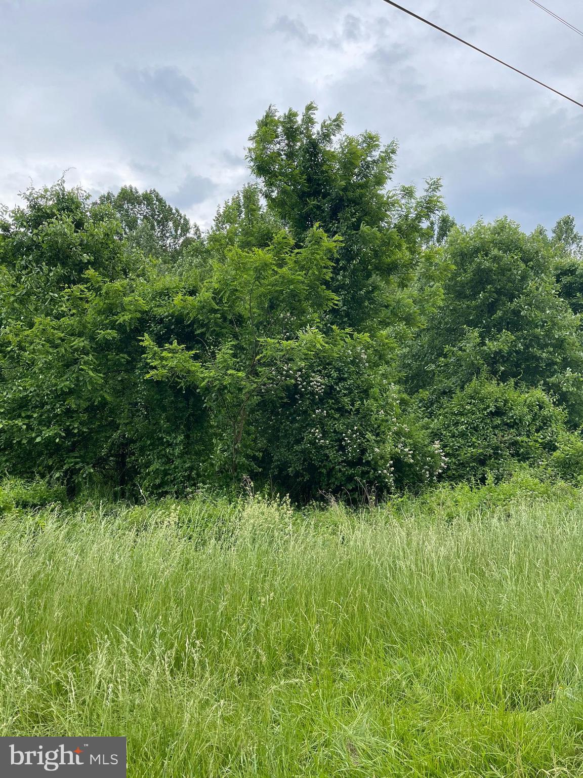 Goodwin Quarry Westminster, MD 21157 - Photo 13 of 18