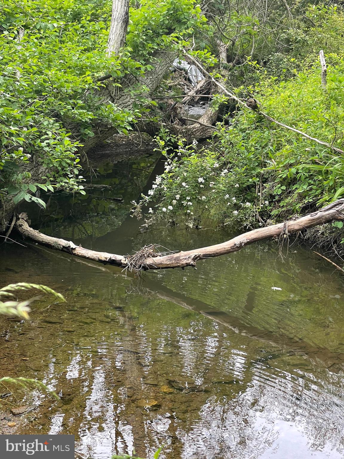 Goodwin Quarry Westminster, MD 21157 - Photo 14 of 18
