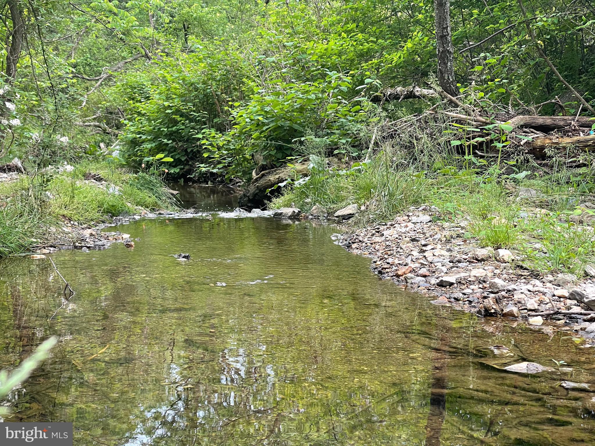 Goodwin Quarry Westminster, MD 21157 - Photo 15 of 18
