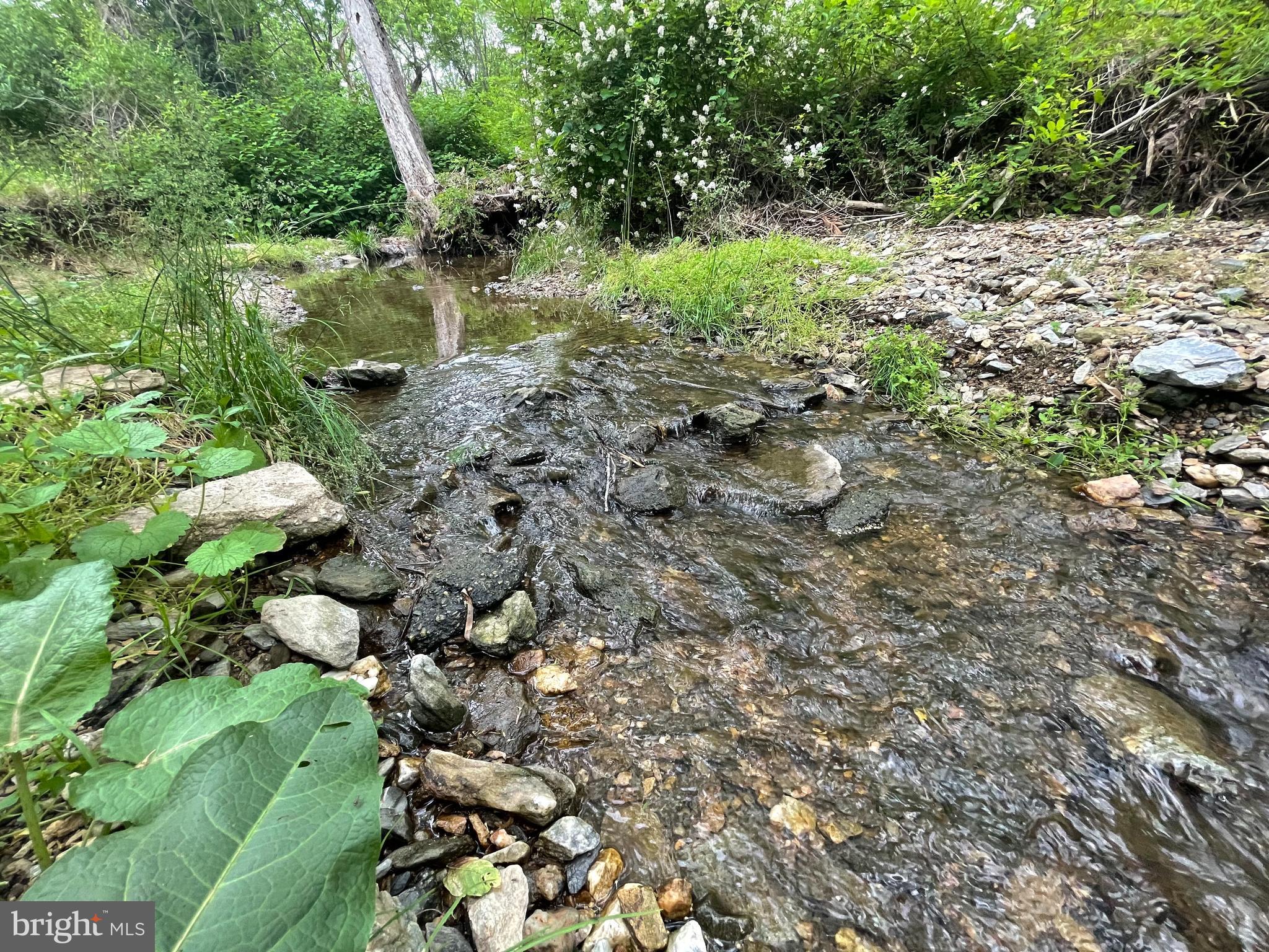 Goodwin Quarry Westminster, MD 21157 - Photo 16 of 18