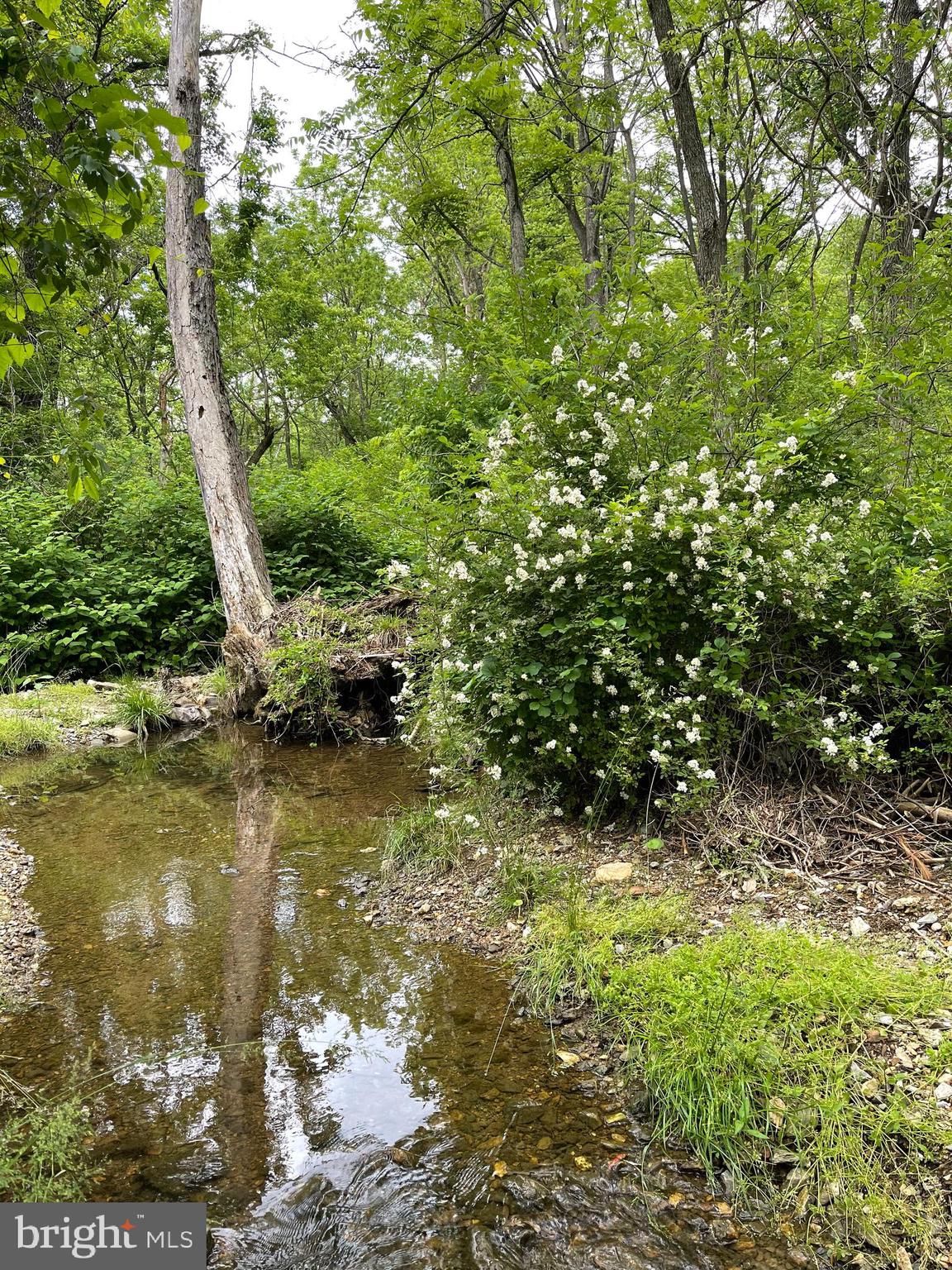 Goodwin Quarry Westminster, MD 21157 - Photo 17 of 18