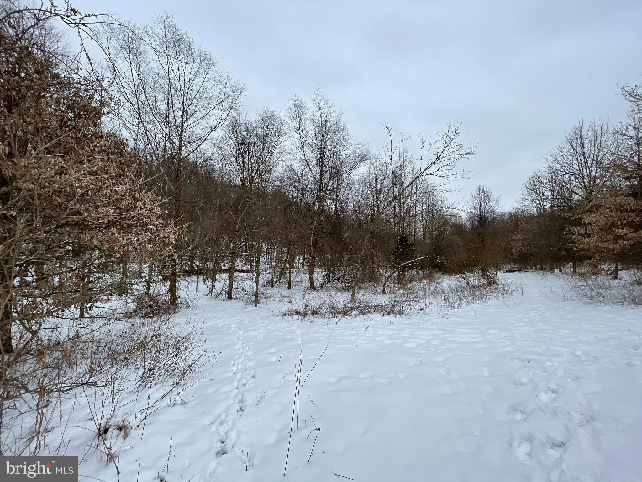 Goodwin Quarry Westminster, MD 21157 - Photo 9 of 18