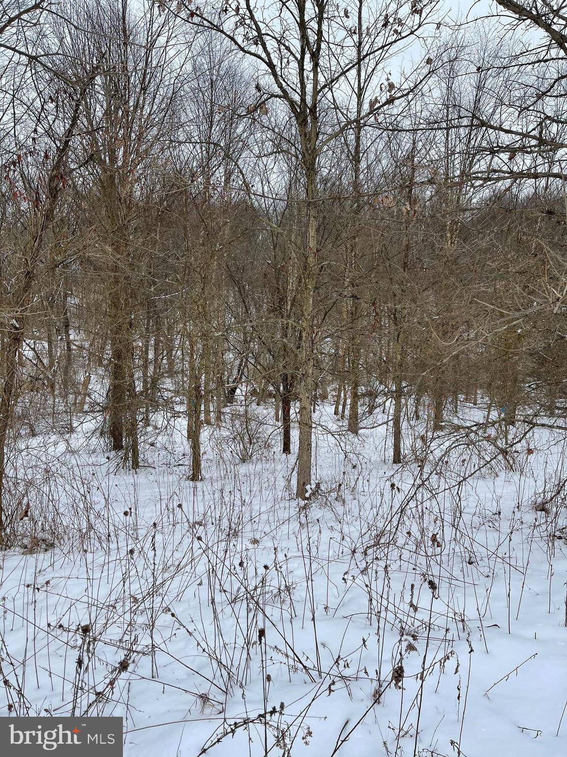 Goodwin Quarry Westminster, MD 21157 - Photo 10 of 18