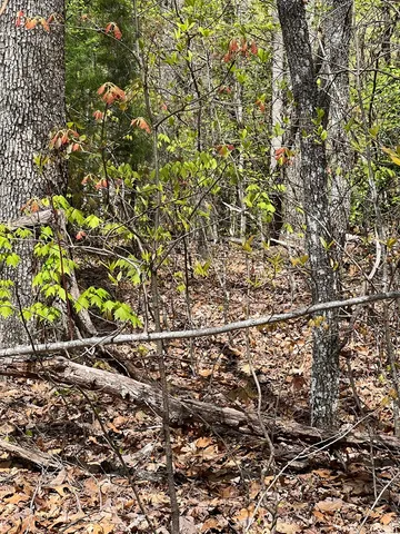 $45,000 | 33-35 Ash Branch, Hayesville, NC 28904