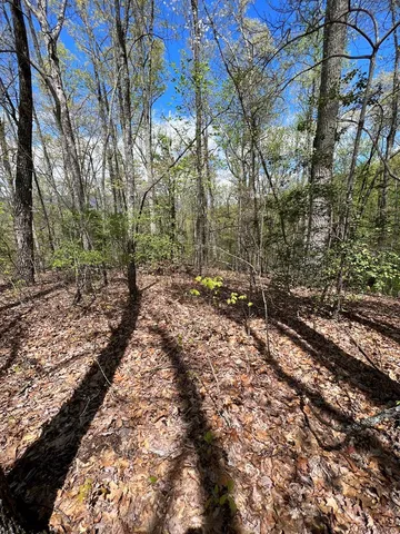 $45,000 | 33-35 Ash Branch, Hayesville, NC 28904